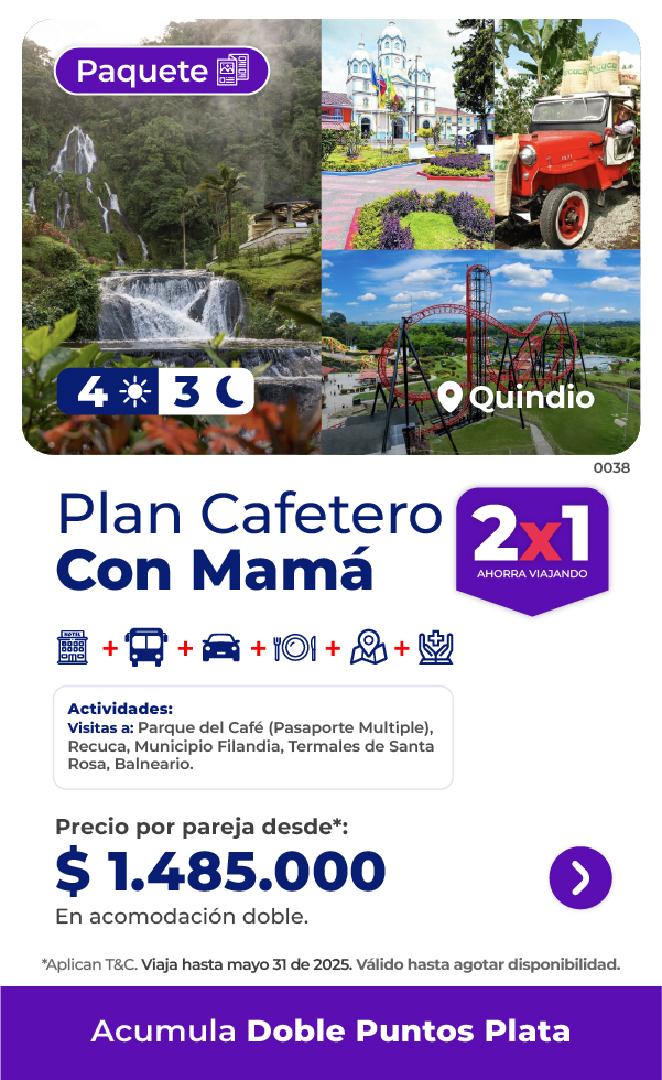 Imagen 5