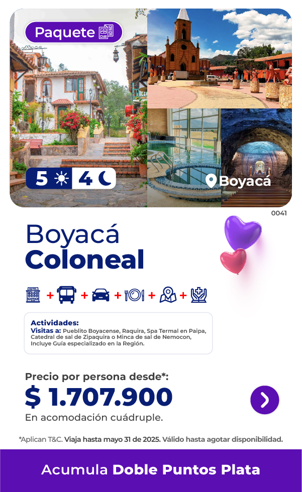 Imagen 5