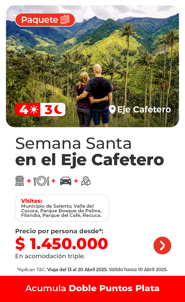 Imagen 5